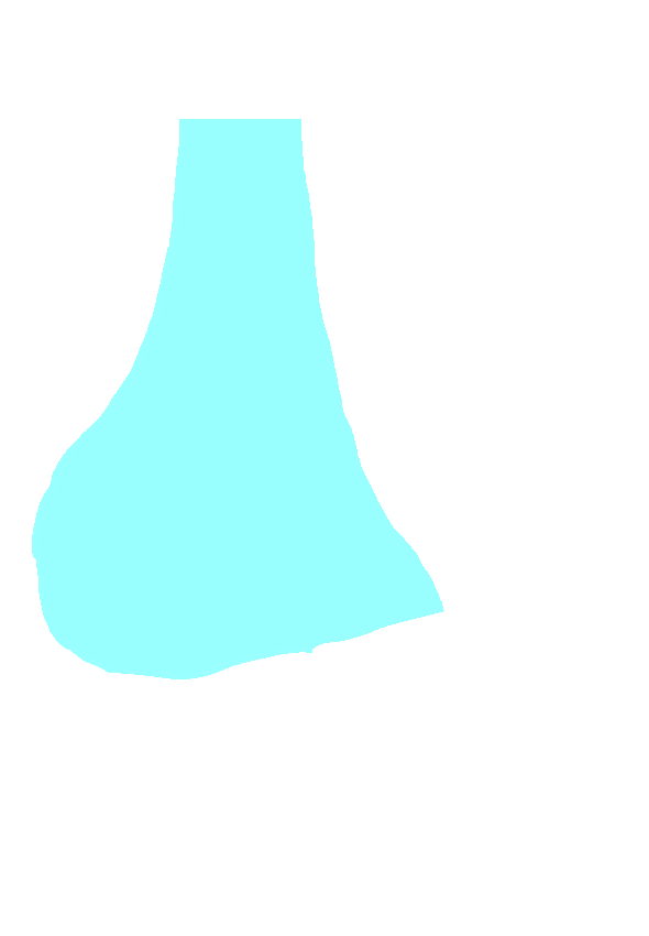Posterior Surface