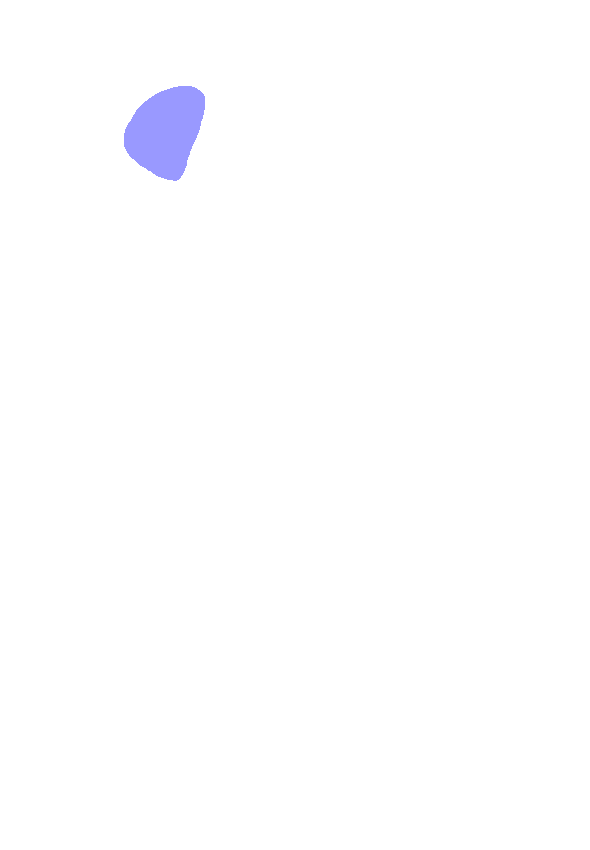 Gerdy's Tubercle