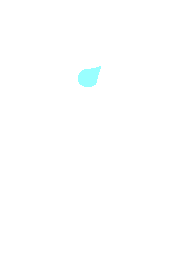 Posterior Intercondylar Area