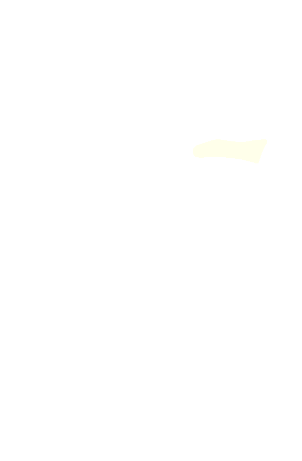Semimembranosus Tendon