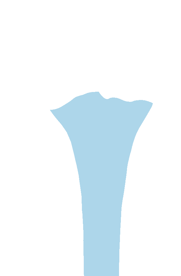 Shaft