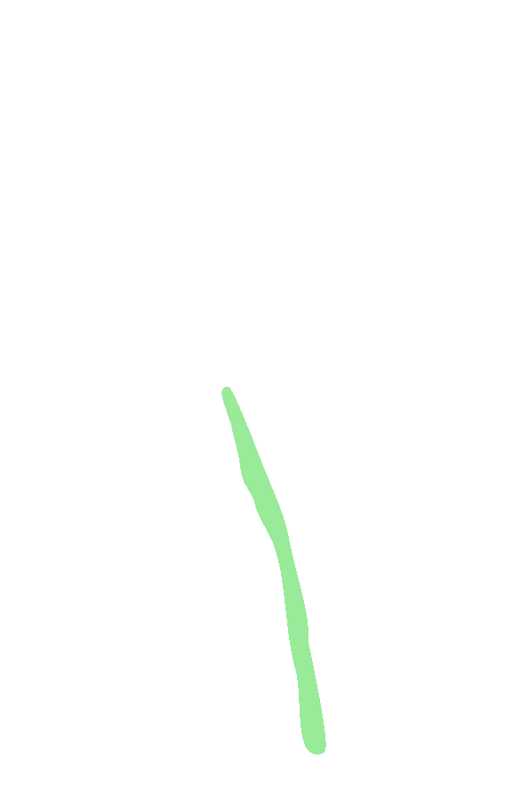 Soleal Line