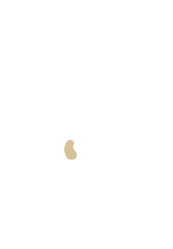 Lateral Tubercle (of Eminence)