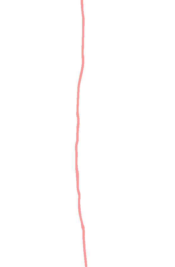 Anterior Border