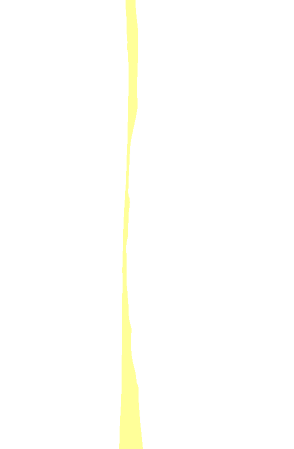 Lateral Surface