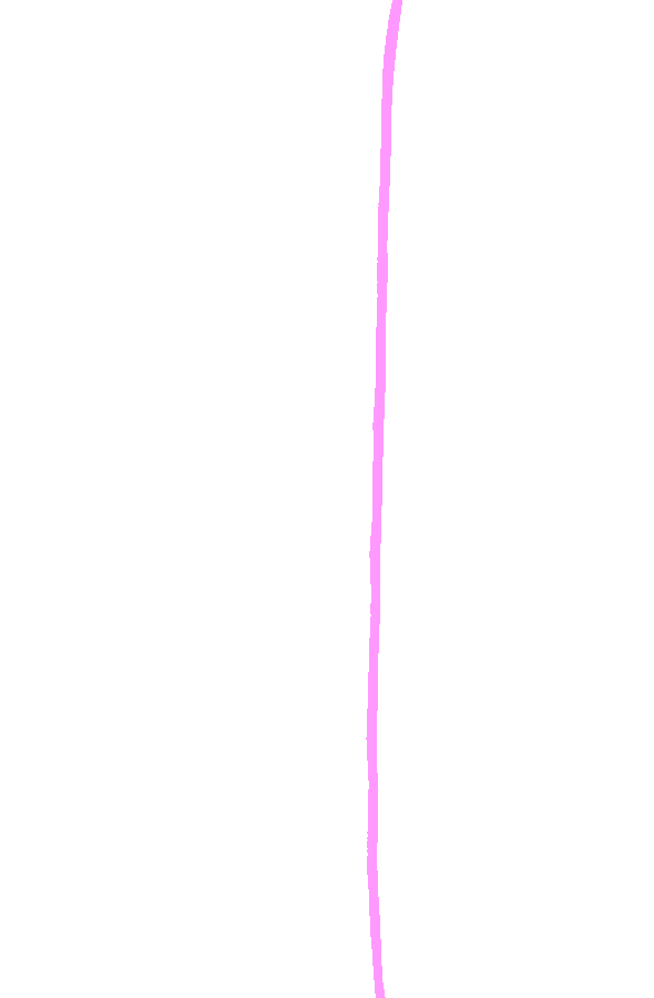 Medial Border