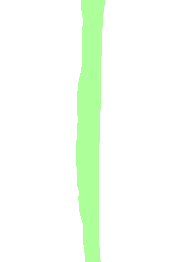 Medial Surface
