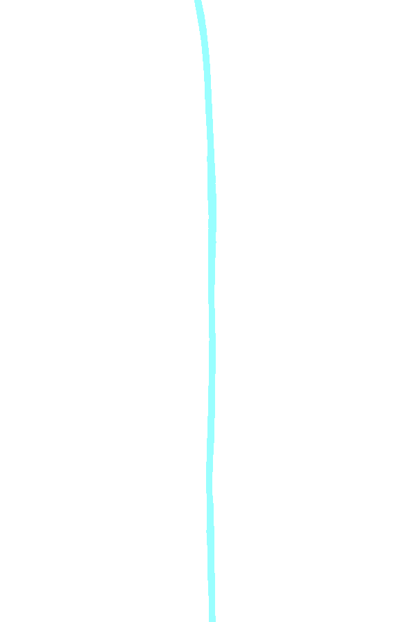 Interosseous Border