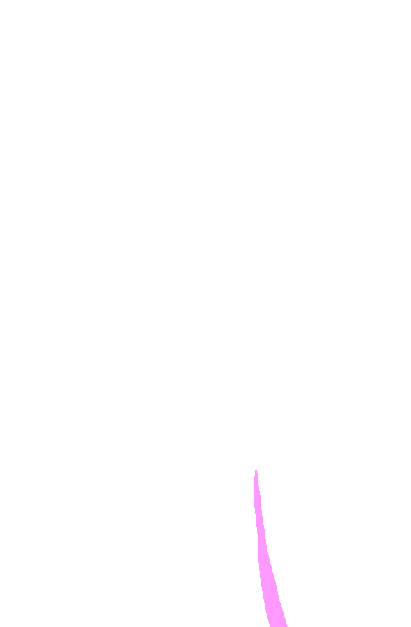 Medial Surface