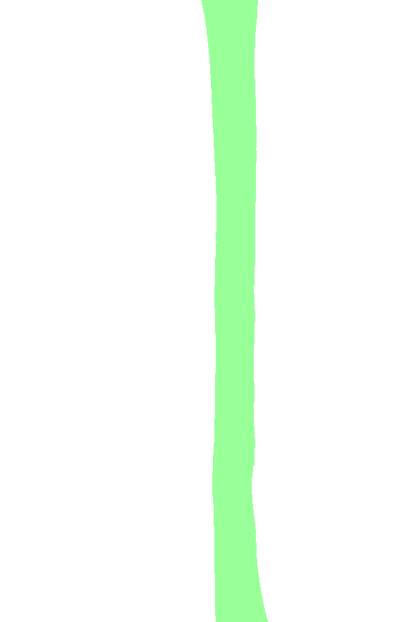 Posterior Surface