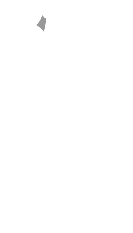 Dorsal rami of lumbar nerves