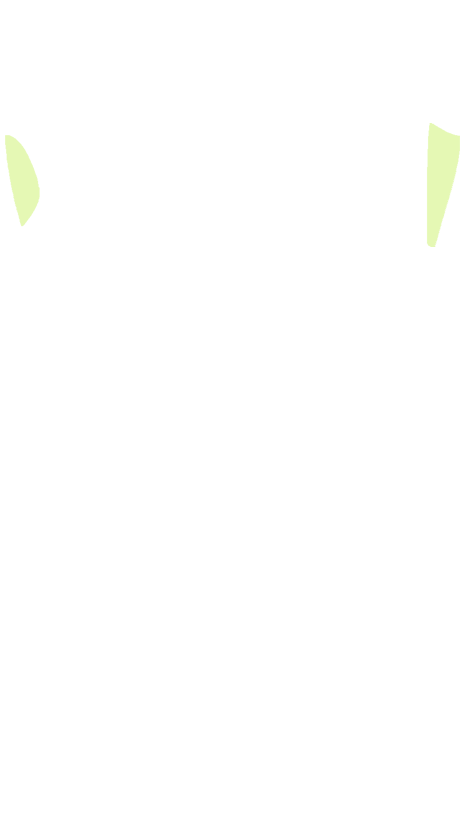 Obturator nerve