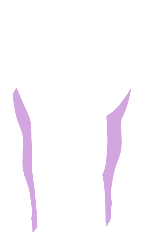 Saphenous nerve