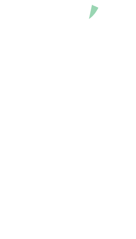 Subcostal nerve