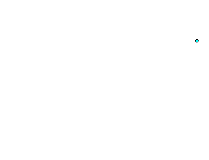 Posterior tibial pulse