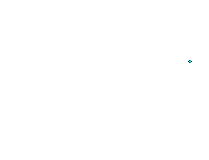Sustentaculum tali