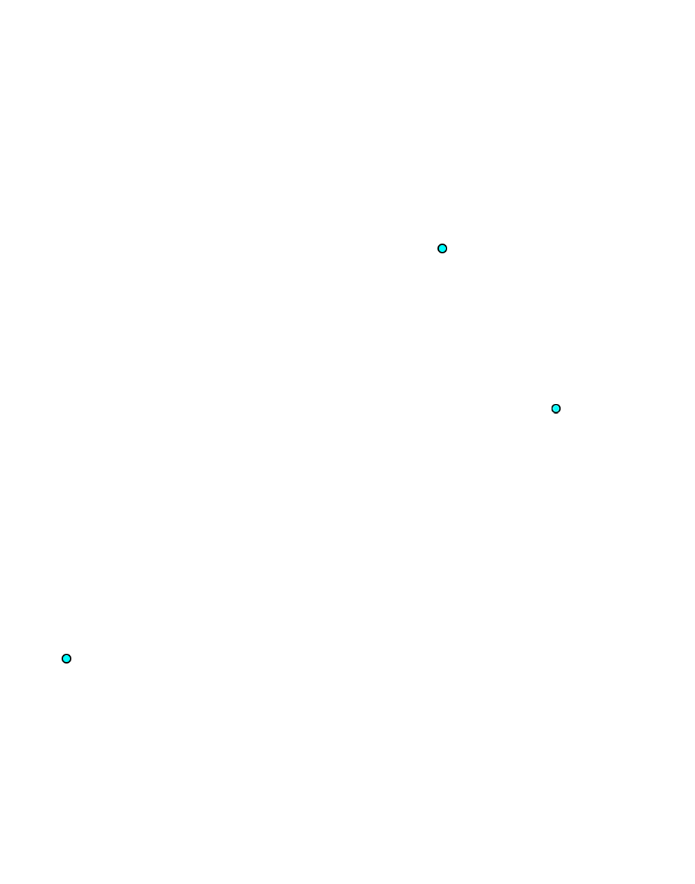 Patella