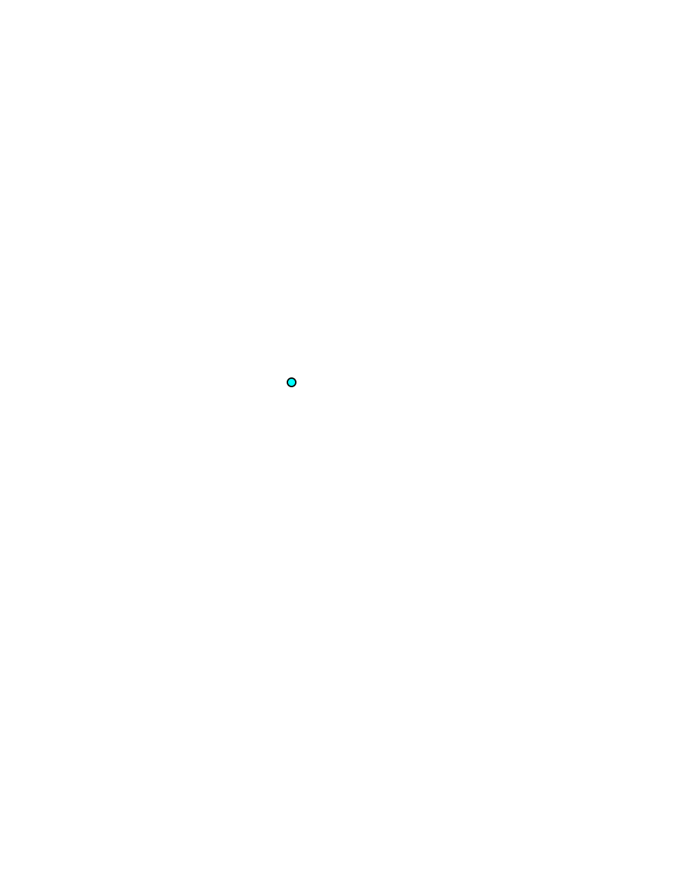 Soleus