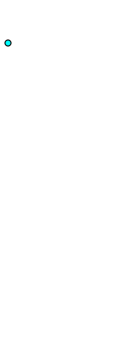 Tensor fasciae latae