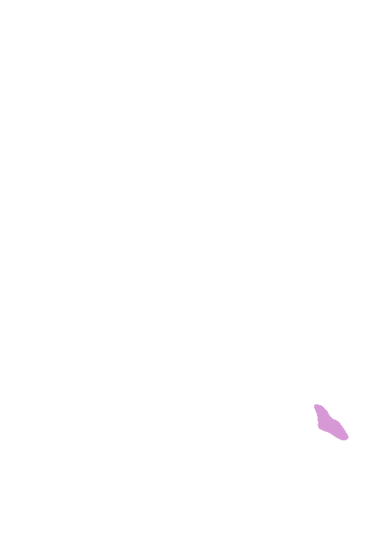 Pubic Crest