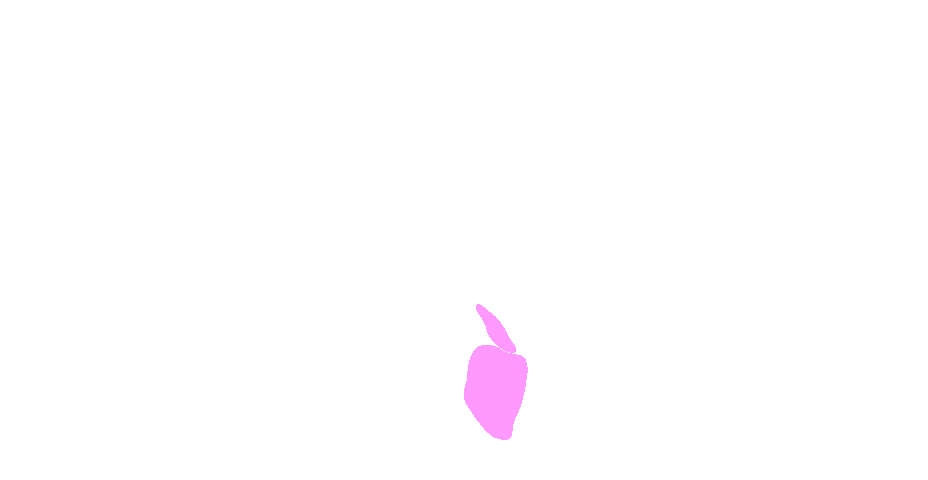 Articular Facets