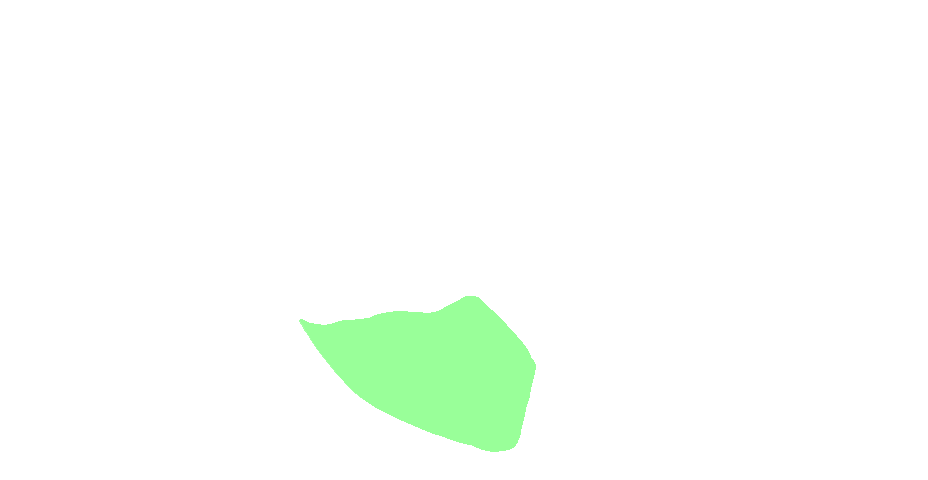 Head