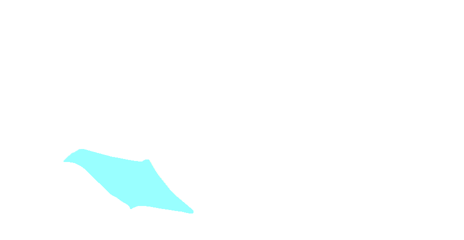 Neck