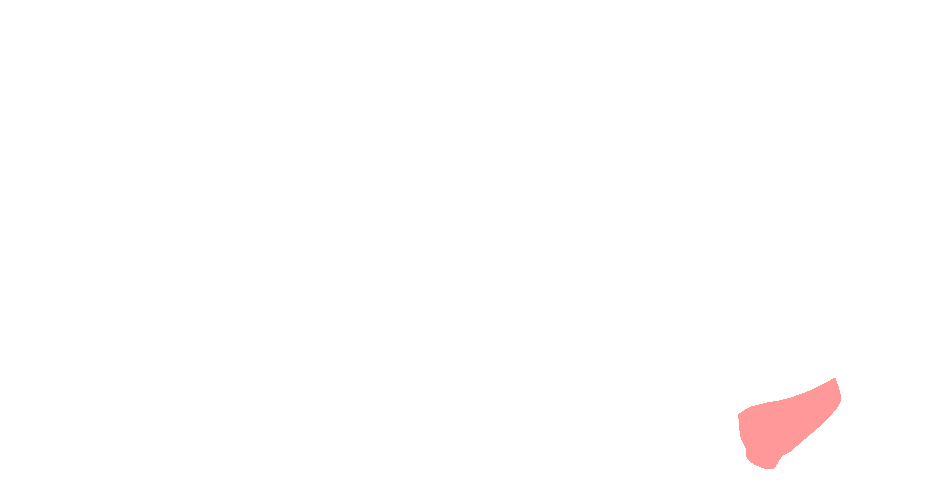 Head