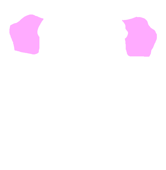 Ala