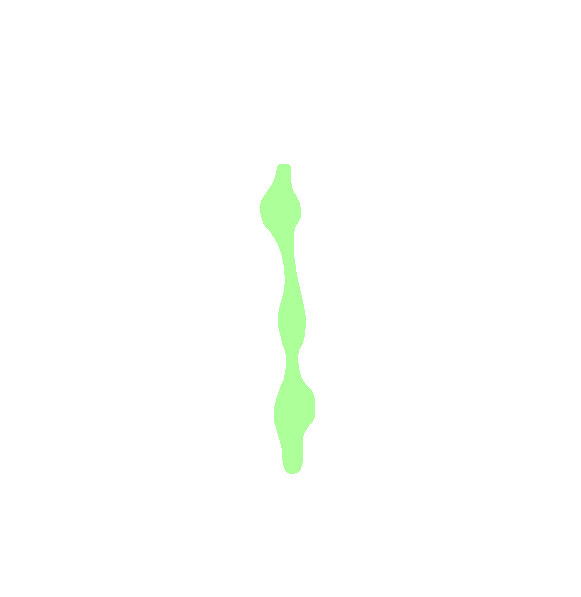 Median Sacral Crest