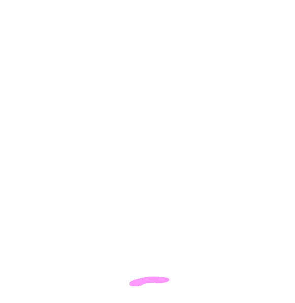 Apex
