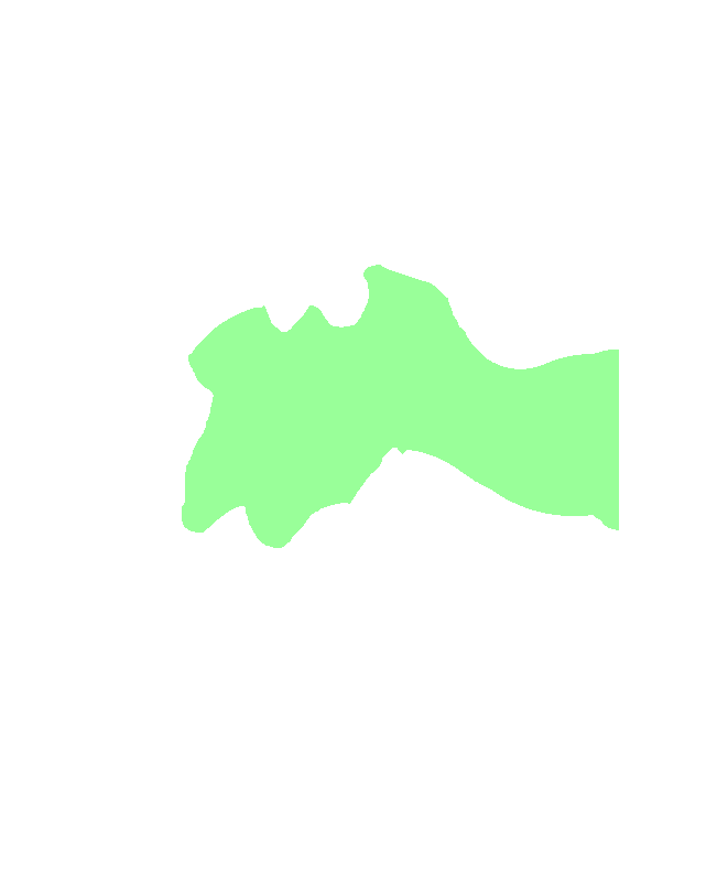 C4 Vertebra