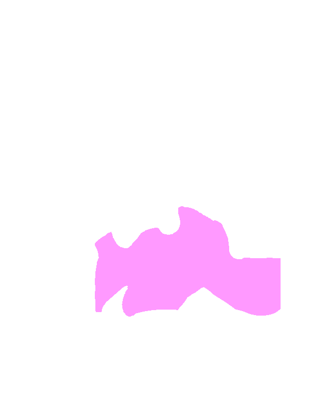 C5 Vertebra