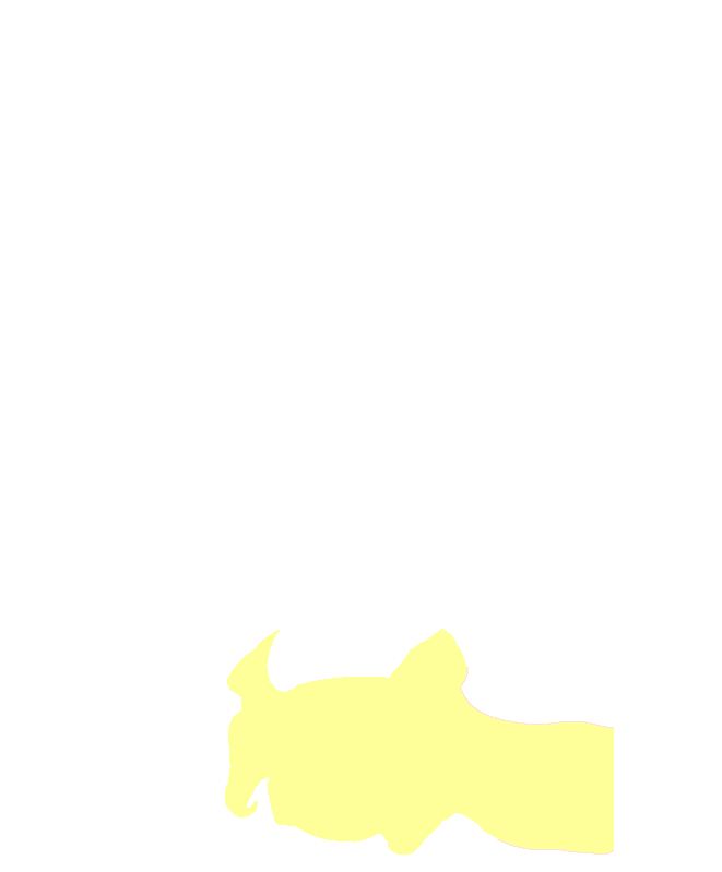 C6 Vertebra