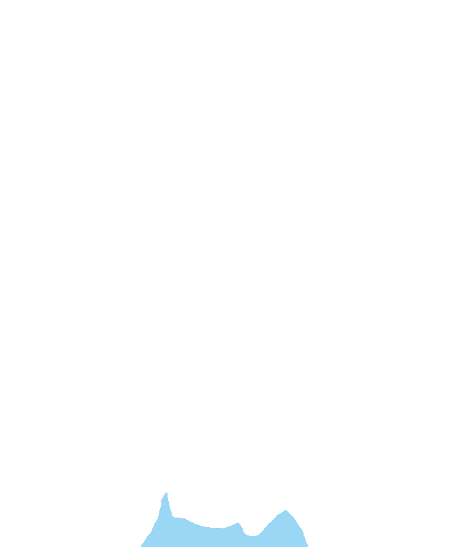 C7 Vertebra