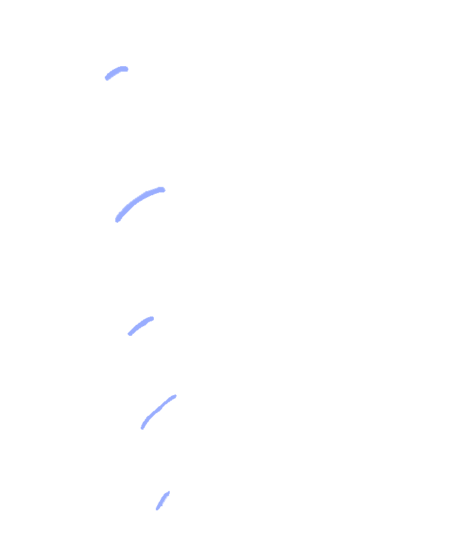 Zygapophyseal Joints