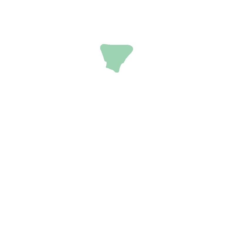 Vertebral Foramen (Canal)