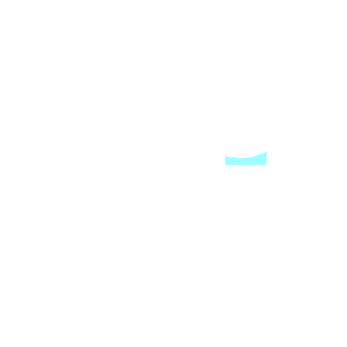 Left hypochondriac region