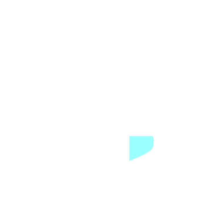 Left inguinal region (groin)