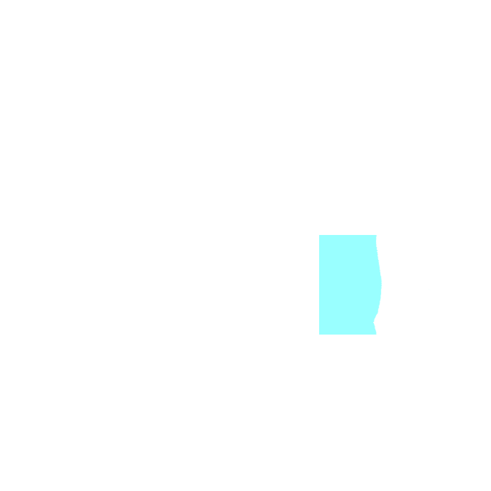 Left lateral region (flank)