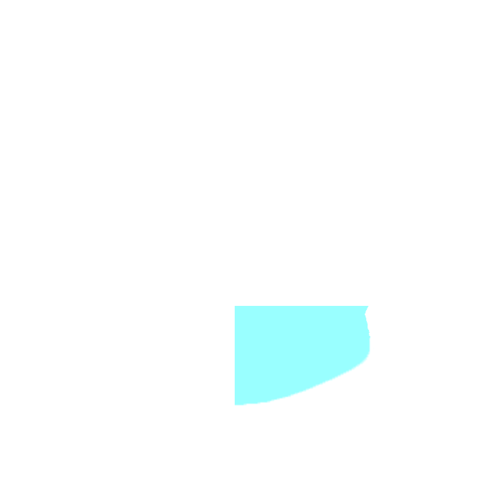 Lower left quadrant