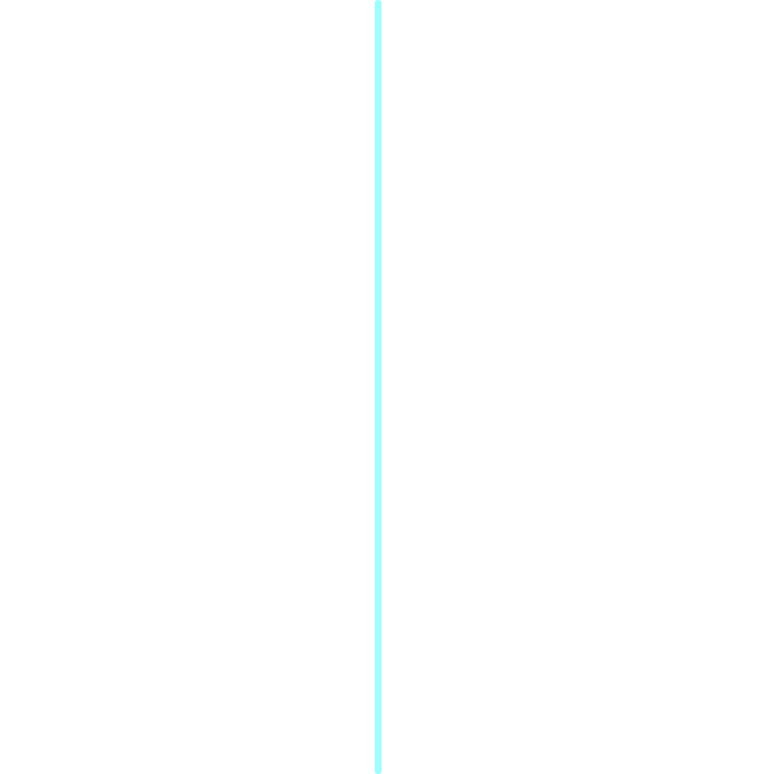 Midsagittal plane