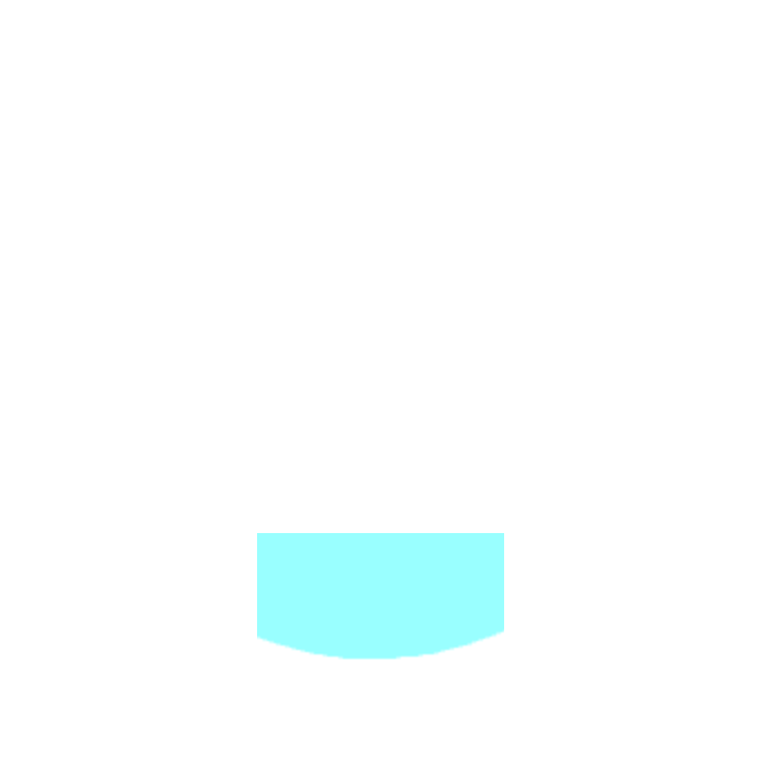 Pubic region