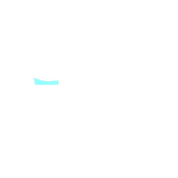 Right hypochonriac region