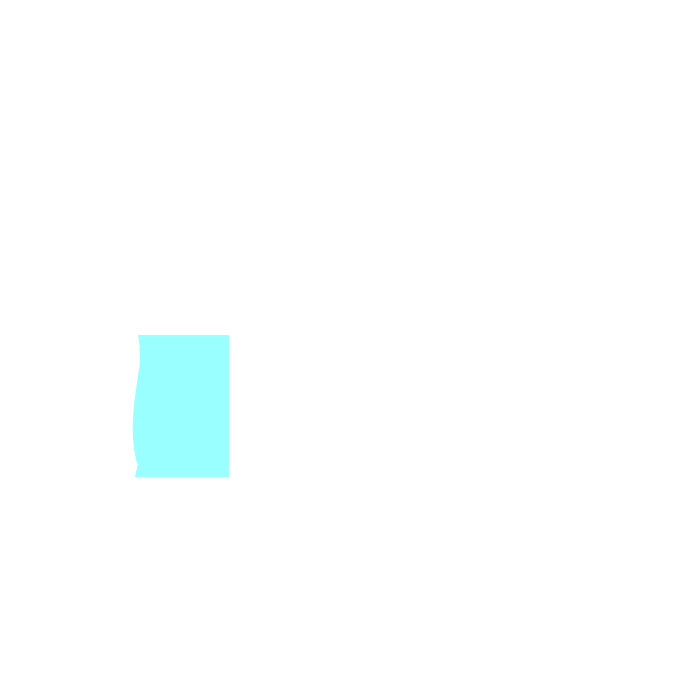 Right lateral region (flank)