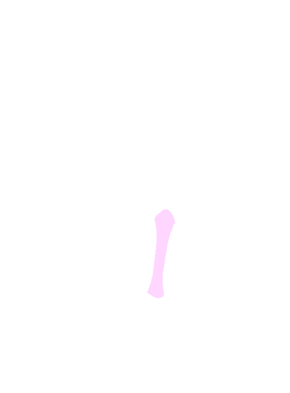 Shaft
