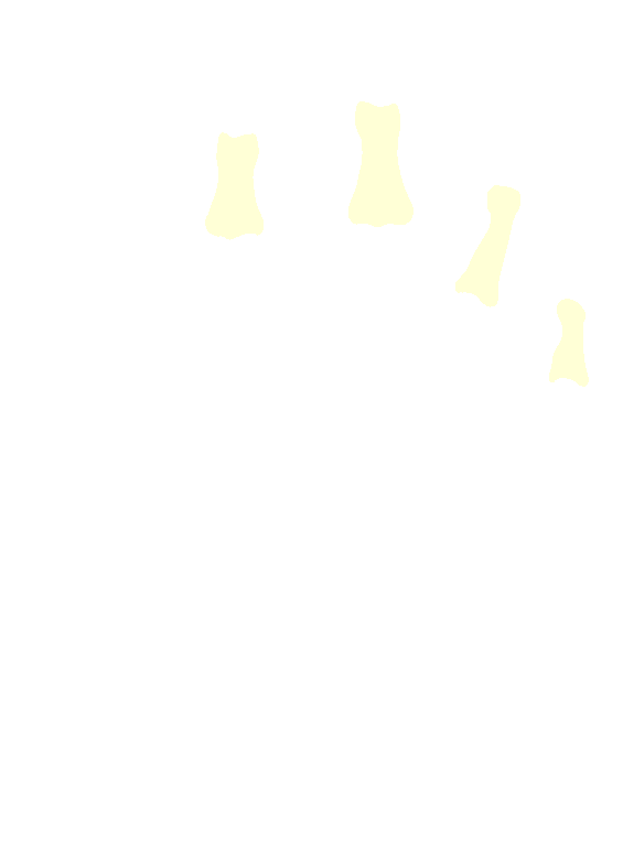 Middle
