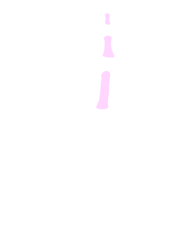 Shaft
