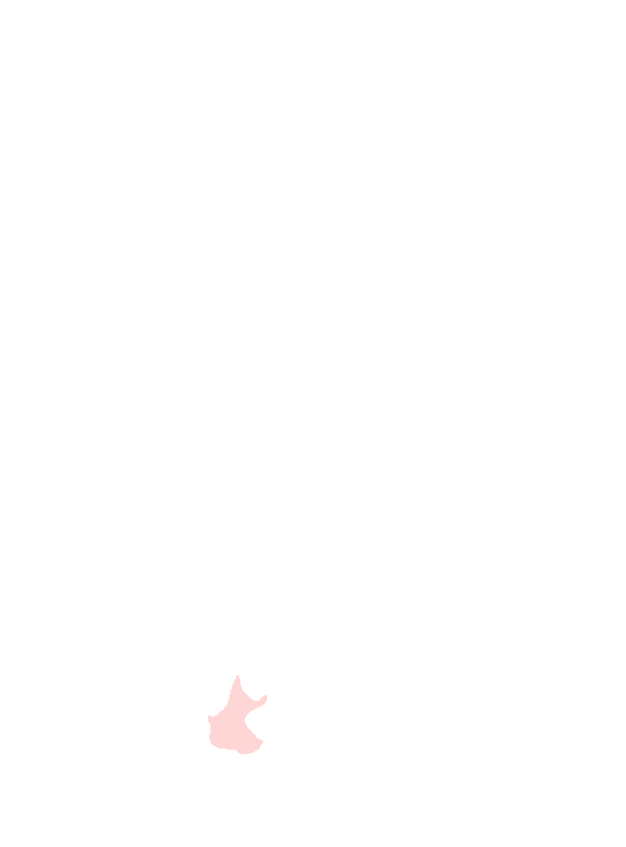 Trapezium