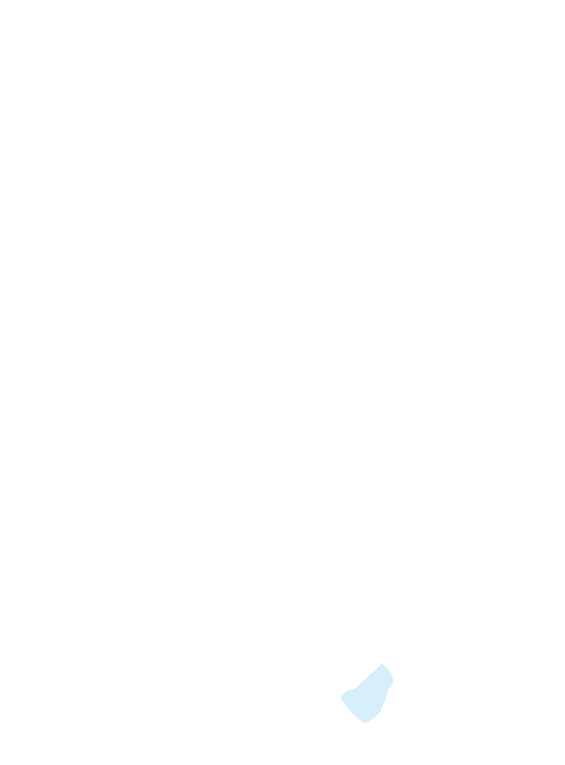 Triquetral